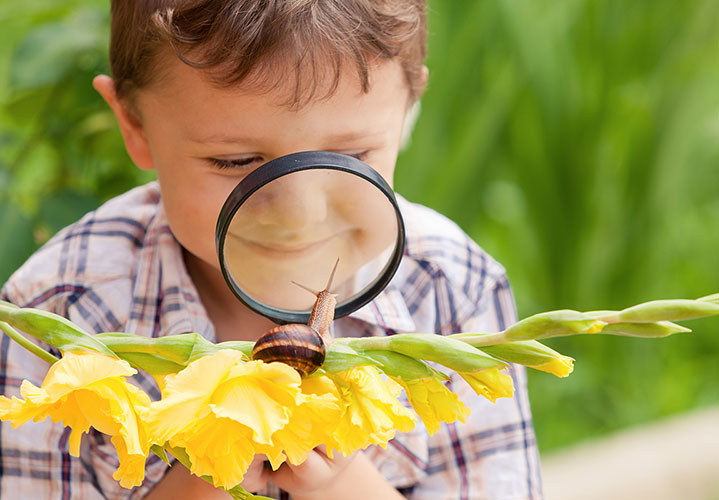 Happy Learning Childcare curriculum 4-5 year olds.